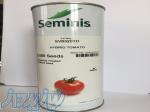 بذر گوجه فرنگی هیبرید 8320 سمینیس 