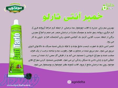 فروش خمیر آنتی تارلو 