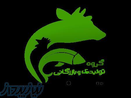 گروه تولیدی و بازرگانی هاتف 