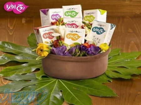 نوشیدنی عرقیجات روح افزا 