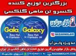 بزرگترین توزیع کننده کنسرو تن ماهی گلکسی در ایران-09123871190 (شرکت پخش بازار مولوی از 1373) 