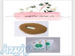 فروش بذر یونجه نیکشهری 