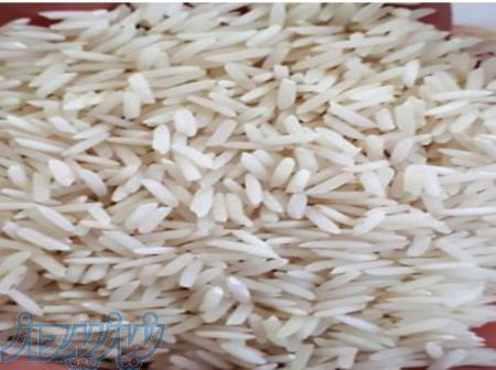 برنج ایرانی شیرودی