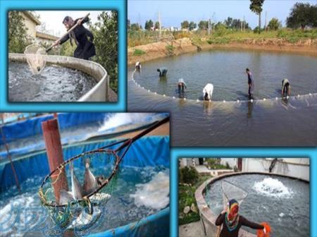 فروش سیستم اصلاح آب مزارع پرورش ماهی 