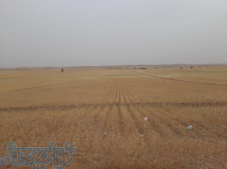 حمل بار پرس گندم از شوشتر به مقصد اصفهان با کرایه عالی 