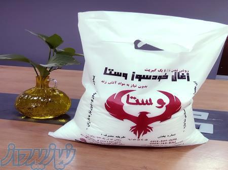 زغال خودسوز 