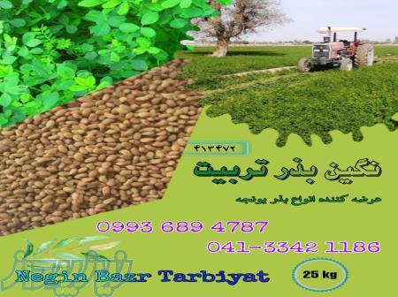 فروش بذر یونجه در ارقام مختلف، قیمت بذر یونجه 