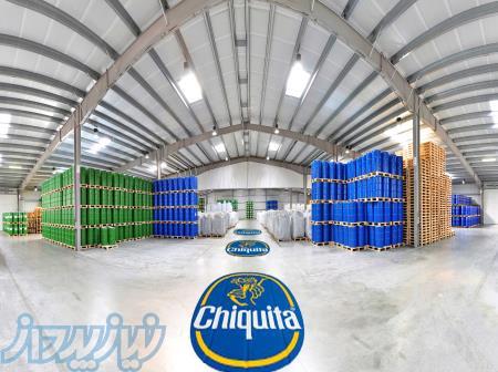 فروش مستقیم پوره موز چیکیتا