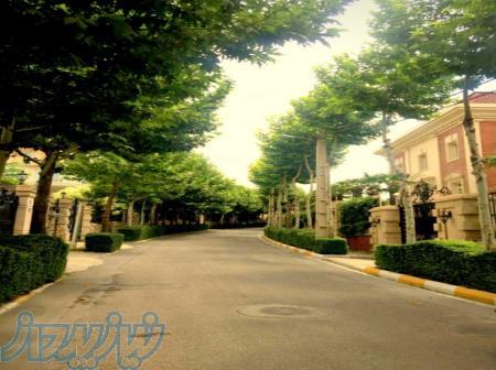 فروش زمین 2000هزار متری با جواز ساخت سند تک برگ 