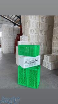 سبد20کیلویی ،سبد سورتینگ،سبد 25کیلویی،سبد حمال،سبد صادراتی