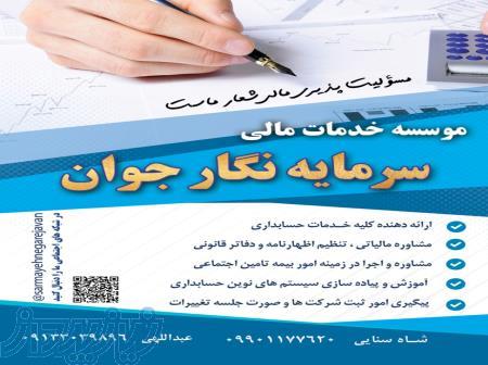 موسسه خدمات مالی سرمایه نگار جوان 