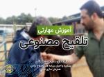 مرکز خدمات تلقیح مصنوعی دام رشت