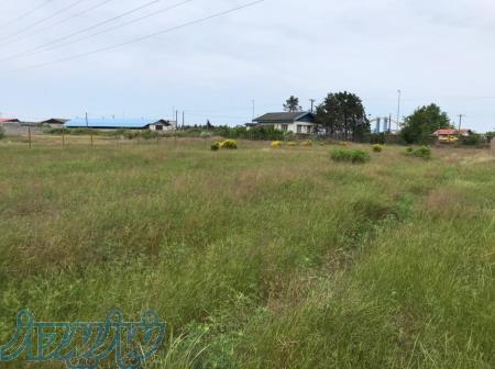 فروش فوری زمین 