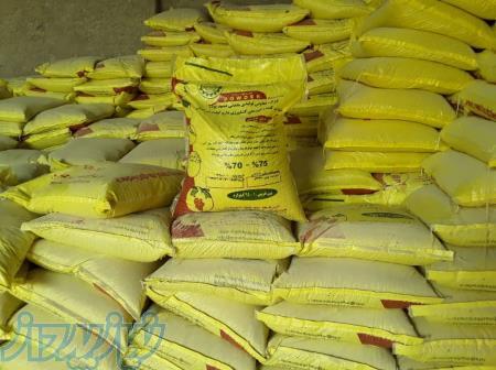 گوگرد بنتونیت دار و مش 200 