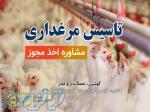 استعلام و اخذ مجوز مرغداری گوشتی 
