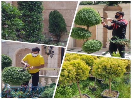 طراحی و اجرای فضای سبز 