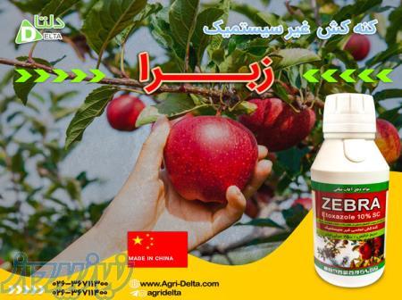 فروش کنه کش زبرا 