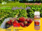 فروش قارچ کش های مکسازول 