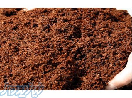 فروش کوکوپیت مرغوب هندی از وارد کننده 