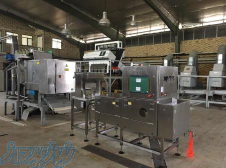  	سورت تخصصی حبوبات – خشکبار با دستگاههای لیزر و کالر سورترو ایکس-ری به روز 