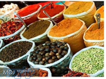 آموزش گیاهان دارویی و داروهای گیاهی  شفا