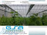 گلخانه های مدرن صنعتی GSA Greenhouse 