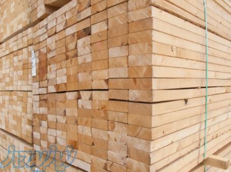 فروش چوب راش 