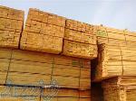 قیمت روز چوب روسی با کیفیت 