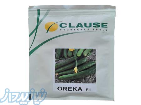 فروش بذر خیار اورکا 