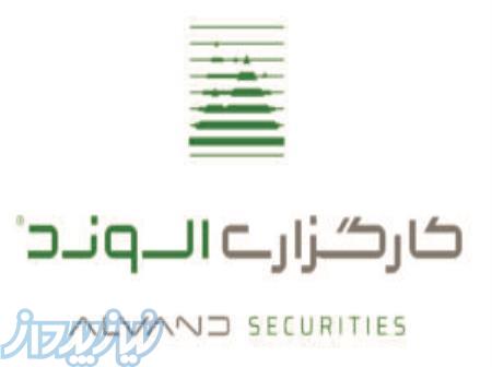 سرمایه گذاری