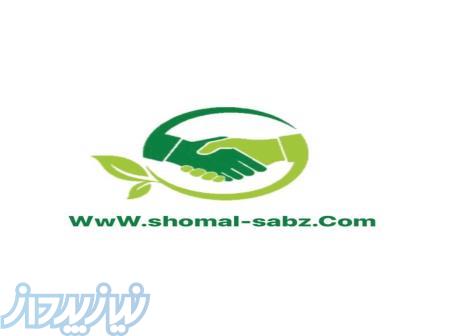 مشاوره دربازاریابی وفروش ایده پردازدررشدکسب وکار 