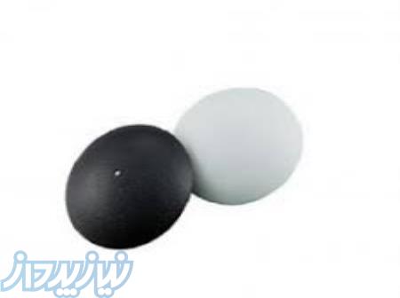 فروش تگ صدفیAM در اصفهان 