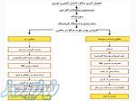 شرکت فرآوری آبزیان مرجان نور بوشهرmn724 com 