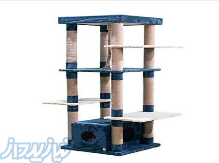 اسکرچر و درخت گربه 