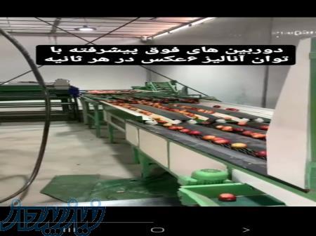 خط سورتینگ میوه 