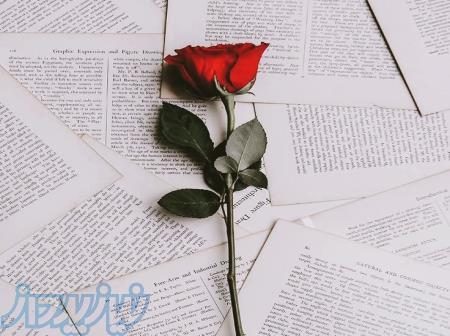 محصولات باروک 