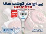 پی اچ سنج قلمی گوشت هانا HANNA HI981036 