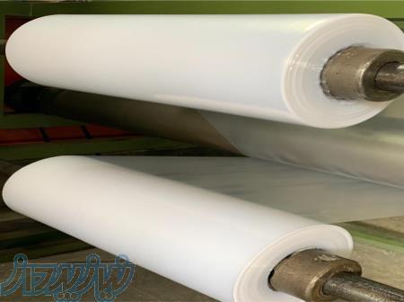 تولید کننده فیلم شیرینگ 