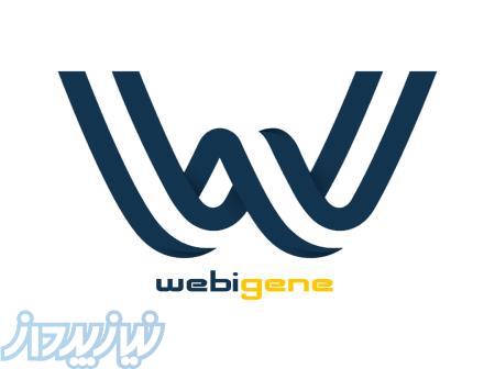 طراحی سایت وبیژن 