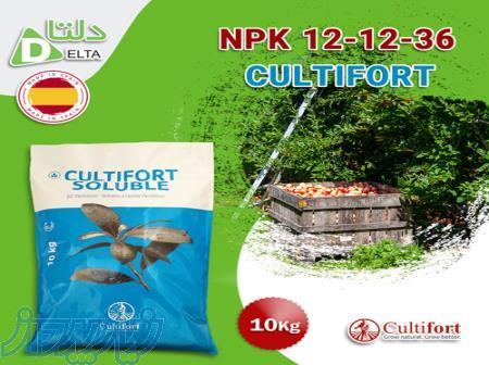 فروش کود 36-12-12 کالتیفورت 