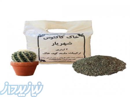 حراج واقعی خاک کاکتوس غنی شده و بسته بندی شده با کیفیت عالی 