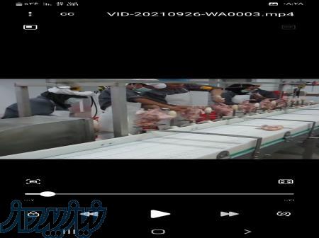 خط فرآوری وبسته بندی مرغ 