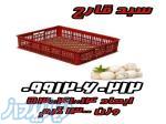 سبد قارچ - سبد حمل قارچ - سبد بسته بندی و نگه داری قارچ 