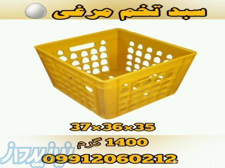 سبد تخم مرغی