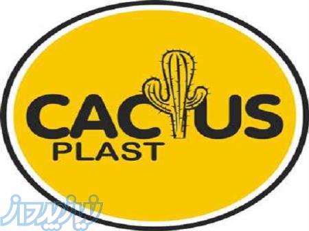صنایع تولیدی کاکتوس پلاست 