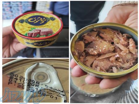 پخش تن ماهی 