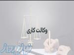 وکالت کاری و شغلی 