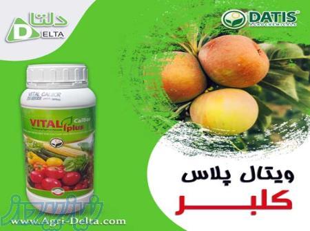 فروش کود ویتال پلاس کلبر 
