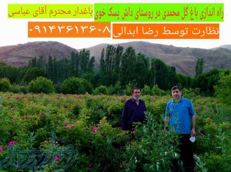 آموزش فروشندگی گیاهان دارویی( عطاری) 