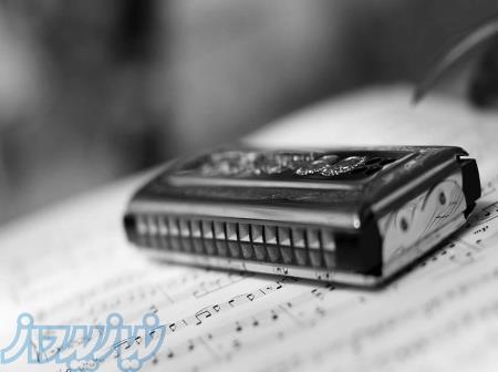 آموزش سازدهنی در شیراز